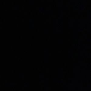 Meet your Posher, Rosemary